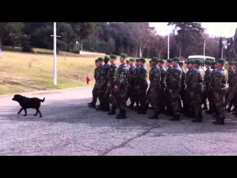 Алсад суугаа ээж минь