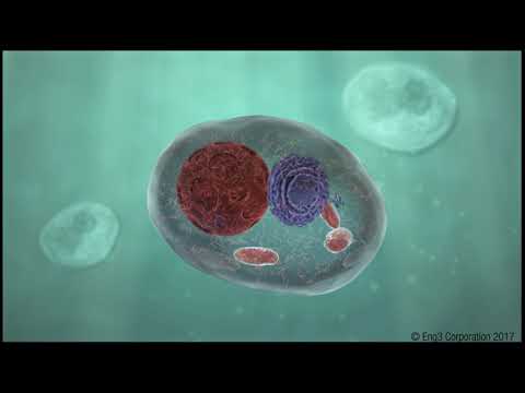 What is Protein Folding? | How NanoVi Reduces Protein Folding Problems