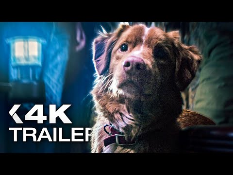 GOOD BOY: Trust his instincts Trailer German Deutsch (2025)