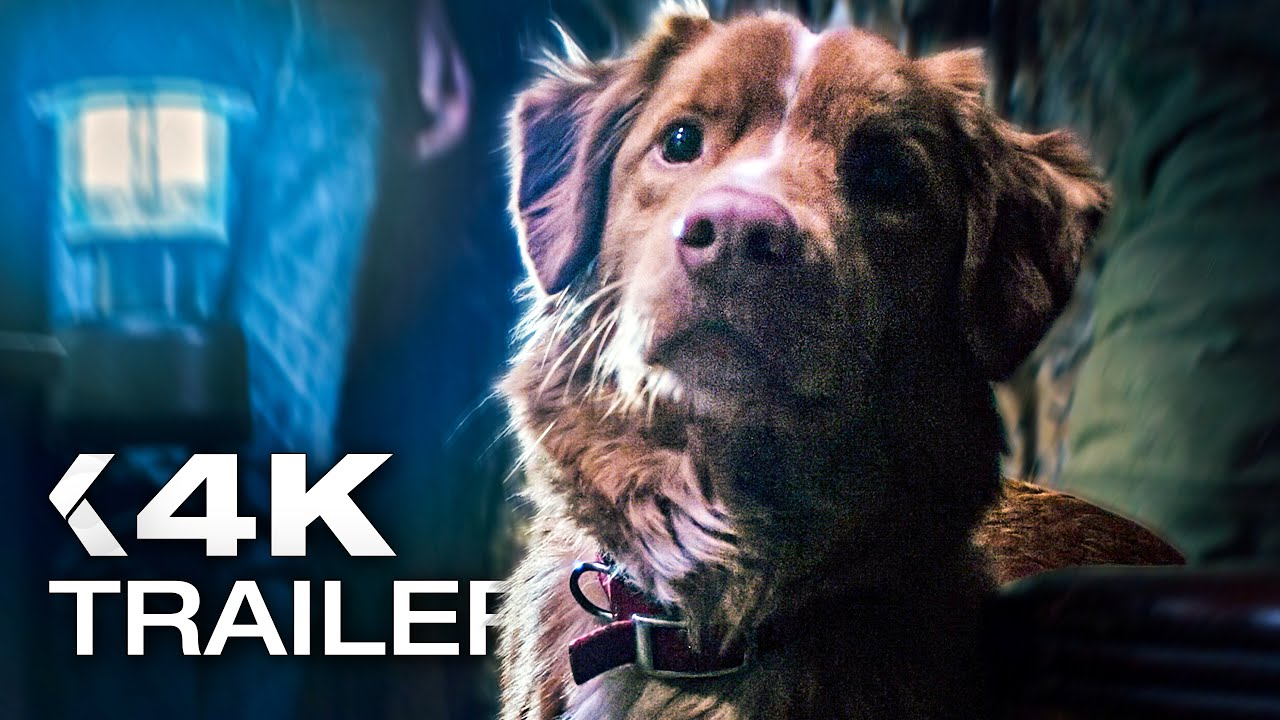 Good Boy - Trust His Instincts Trailer