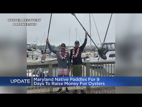 Maryland Man Paddle Boards Across Chesapeake Bay In 9 Days