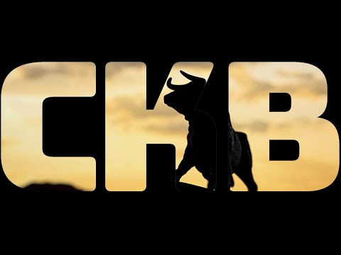 CKB Nervos Network - 5/20/2021