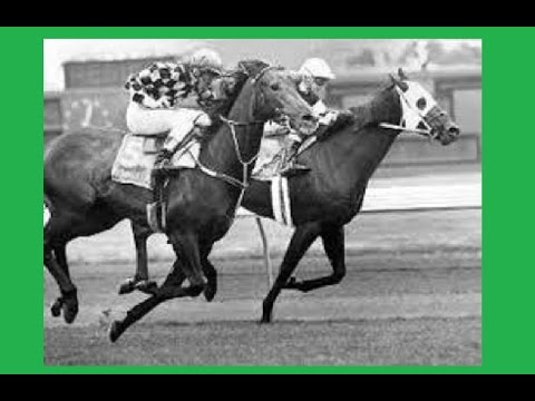1988 VRC Australian Cup _ Dandy Andy