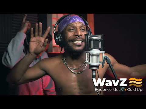 Tiwony,Pompis,daddy Mory,Cali P,Jahnaton - Dance Hall Frequency Medley (Funky Remix)