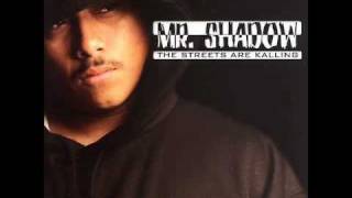 Mr Shadow- It ain't over
