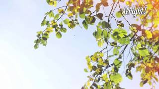 Pure Bathing Culture - Pendulum