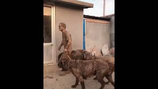 何があったか大体想像がつく犬の飼い主