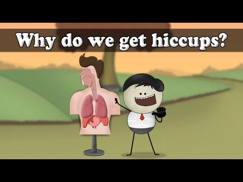 Why do we get hiccups? | #aumsum #kids #science #education #children