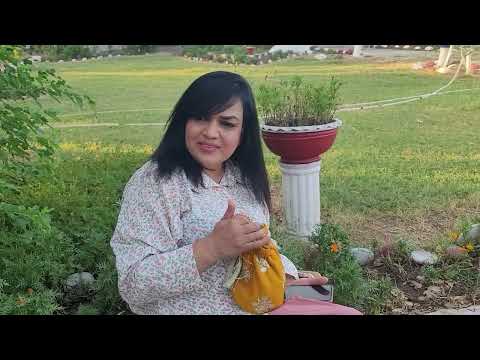 Badnama Khaza | Pashto New Film | JKJ - Shagufta Khan | Jahangir Khan - 2024