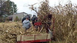 preview picture of video 'McCormick Deering Corn Binder'