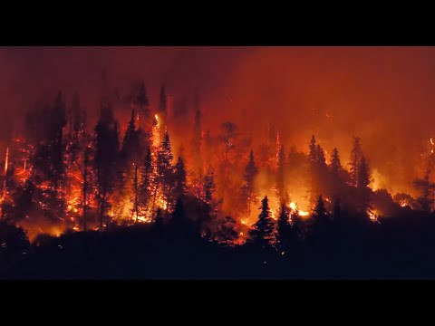 Fighting fire with seeds; BYU helps native plants survive