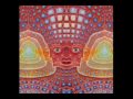 The Legendary Pink Dots - This Could Be The End