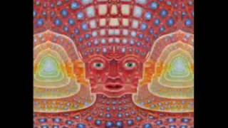 The Legendary Pink Dots - This Could Be The End