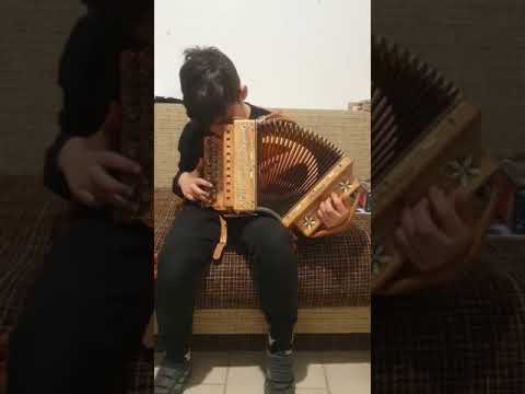 Principessa - Organetto Riccardo Compagnoni - Maestri: Di Giovanni Alessandri Galassetti Mantovani