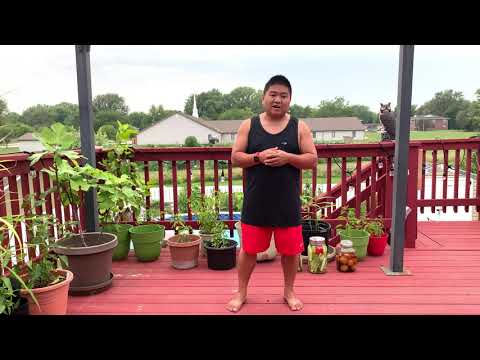 Vom Sofa zum Halbmarathon: Meine Trainingswoche 1