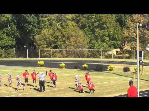 2014 10U Providence Vols vs I Got Next Wolfpack