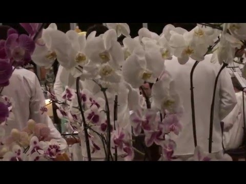 PERGUNTO AOS MEUS IRMÃOS - F.DE JAGUBE - PAD.SEBASTIÃO 156