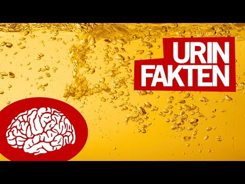 Der Meniskus des Knies Anschwellen Zervikale Osteochondrose Kopf verletzt kippen