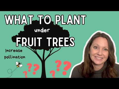Fruit trees THRIVE with these plants!