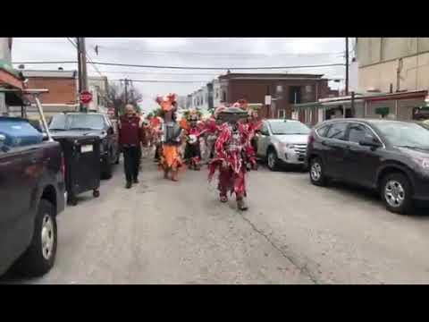 QCSB "Over The Waves" - 2019 Mummers Mardi Gras