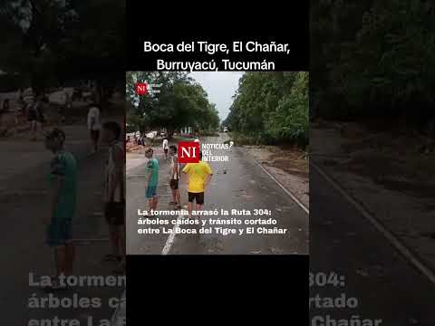 Tornado Boca de Tigre. El Chañar