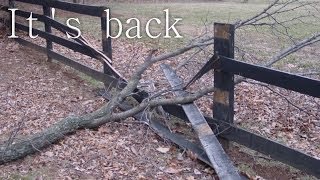 "It's Back" Creepypasta