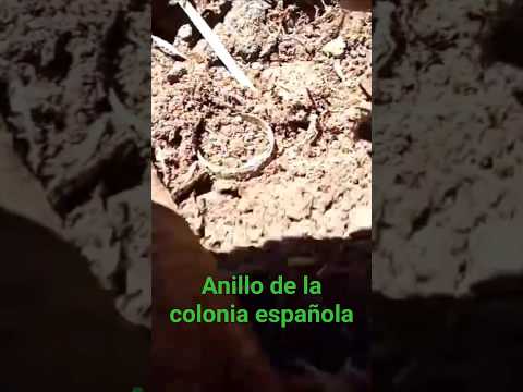 anillo de la colonia española