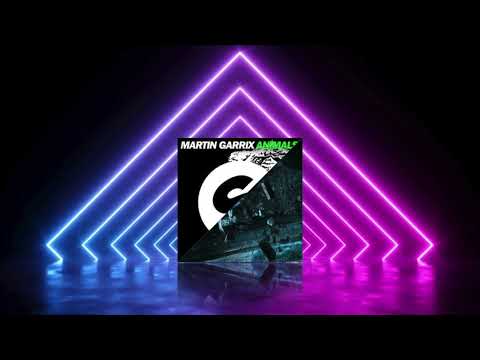 Martin Garrix vs LOOPERS & Seth Hills  -  Animals  vs  Out Of Control