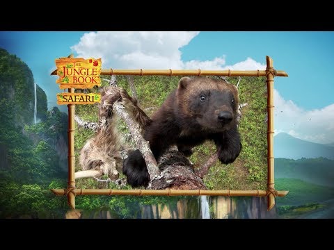 The Jungle Book Safari - Episode 7 - Humans and Animals