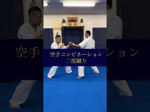 【二度蹴り】崩しに適したコンビネーション。#shorts #空手