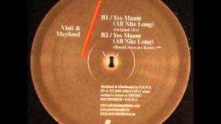 Visti & Meyland - Yes Maam (All Nite Long) (Henrik Schwarz Remix)
