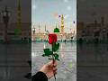 Phool Khilte Hain Padh Padh Ke Chally Ala Shorts Islamicvideo Shortsviral Naat Madina