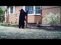 Animals Getting Shocked By An Electric FenceAnimal Shock Funny Animal Fails Animal Getting Shock
