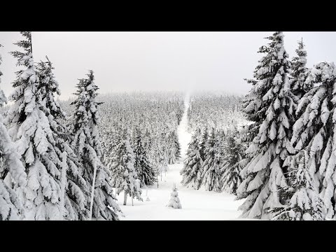 Relaxing Blizzard Sound Heavy Winter Wind and Snow