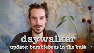 daywalker - update - bumblebees in the butt