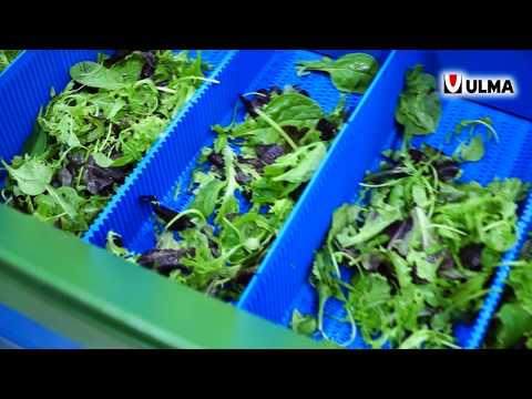 ULMA's new vertical (VFFS)  for packing fresh herbs and light leaf salads (Venturi™)