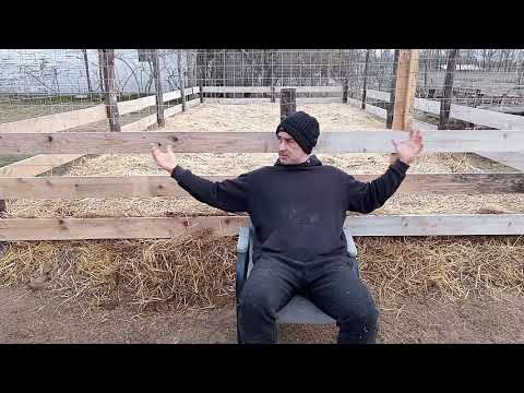 Mélymulcs 1. - A Kezdetek