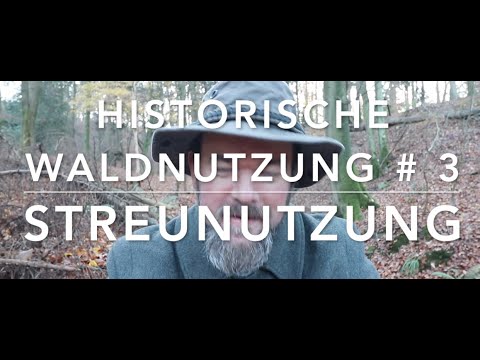 Litter use - Historical forest use #3