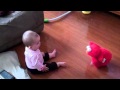 Tickle Me Elmo Traumatizes Baby Ivy