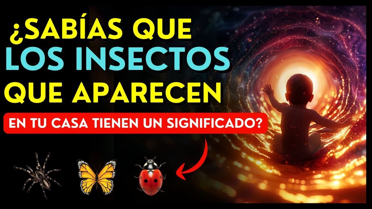 ¿SABÍAS QUE LOS INSECTOS QUE APARECEN EN TU CASA TIENEN UN SIGNIFICADO? #leydelaatraccion #universo