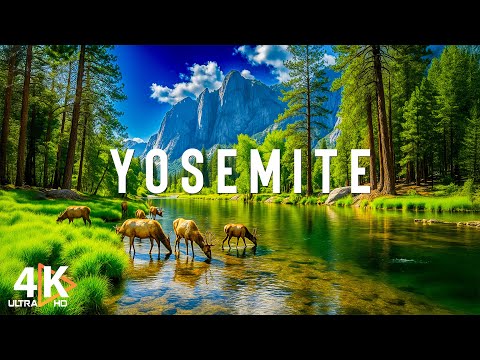 Summer in Yosemite National Park 4K – Where Nature Shows Its Most Beautiful Beauty
