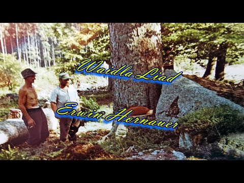 Erwin Hornauer - Waidla Liad