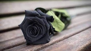 Download lagu Erna Sari - Joget Lambada mp3