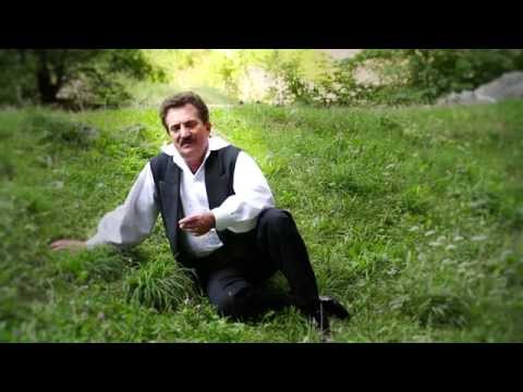 Petrica Mitu Stoian - Firicel de iarba