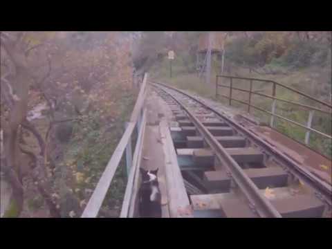 Trekking at Kalavrita-Diakopto railway (Vouraikos Gorge)