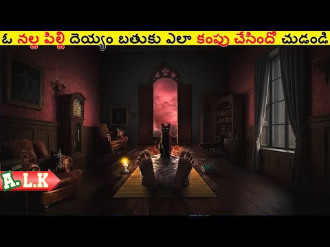 ఓ నల్ల పిల్లి దెయ్యం బతుకు ఎలా కంపు చేసిందో చుడండి || Movie Explained In Telugu || ALK Vibes