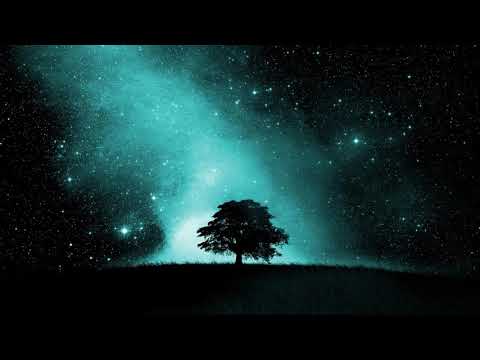 Marian Closca - Vanilla Night (Original Mix) [Trancer Recordings]