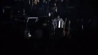 Le petit chat est mort