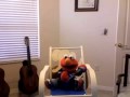 Elmo ABC