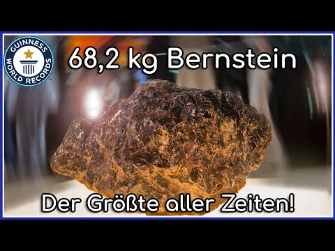 Der Größte Bernstein Der Welt! Unglaubliche 68,2 Kg!